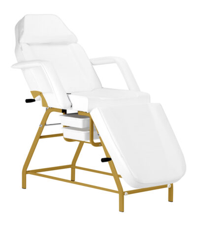 Fauteuil Cosmétique 557G Avec Cuvettes Blanches