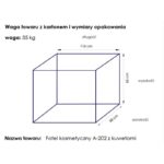 Fauteuil Cosmétique Basic 202 Avec Plateaux Noirs 4