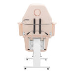 Fauteuil Cosmétique Basic 202 Avec Plateaux Roses 5