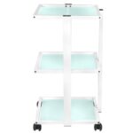 Fauteuil Cosmétique Basique 202 + Table Cosmétique 1040 + Lampe Loupe Led S5 8