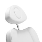 Fauteuil De Coiffure Électrique Azzurro 803D À 3 Moteurs
