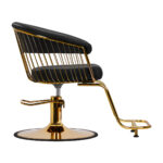 Fauteuil De Coiffure Hair System Lile Or Noir 1