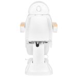 Fauteuil De Cosmétique Électrique Luxe Blanc/Hêtre 3M 3