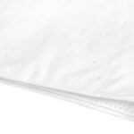 Kit De Filtration Saeyang Pour Ponceuse À Ongles Cyclone-Vac Avec Absorbeur 2