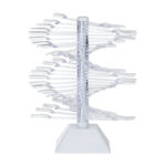 Pochoir À Ongles Sur Roue Wz23 1