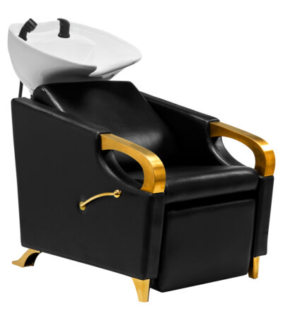 Poste De Lavage De Coiffure C019G Noir