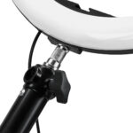 Support De Lampe Annulaire 4