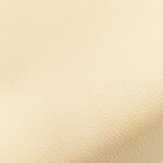 Couleur Crème 4