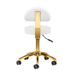 Tabouret Cosmétique Am-304G Blanc 3