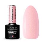 Vernis À Ongles Hybride Claresa Celebration 5 - 5 G